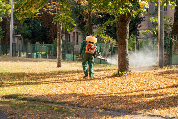 Best Wasp Removal Services  in Berlin, WI